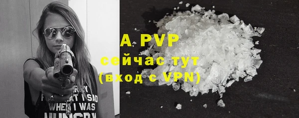 мдпв Михайлов