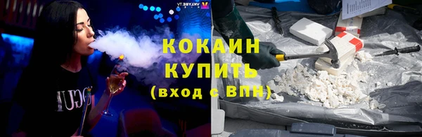 мдпв Михайлов