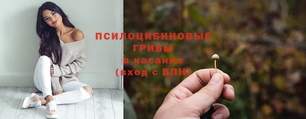 мдпв Михайловка