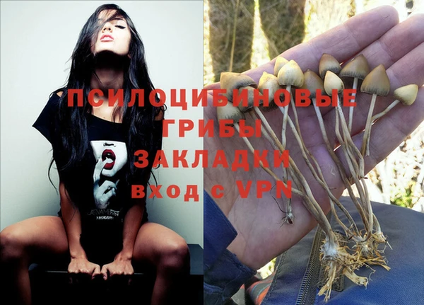 мдпв Михайловка