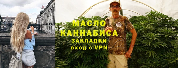 мдпв Михайлов