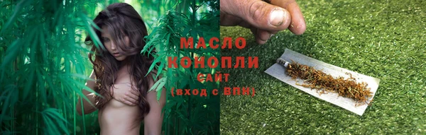 мдпв Михайлов