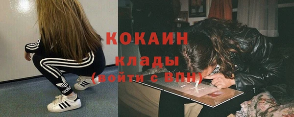 мдпв Михайлов